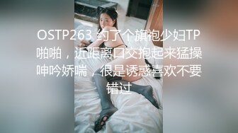 【精品】D先生与C小姐 StockingsCat 南理香 最新付费解锁-无套黑丝乳摇内射-无套黑丝乳摇内射