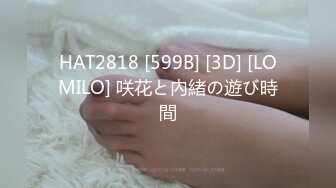 HAT2818 [599B] [3D] [LOMILO] 咲花と內緒の遊び時間