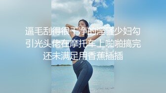 【香蕉视频】jdsy-018 黑丝女房仲