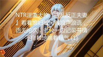 人妻なんてチョロいもんです！！清楚に见えてド淫乱 着衣巨乳で男を诱う 巨乳人妻ナンパ中出し 厳选爆乳妻12人240分 2