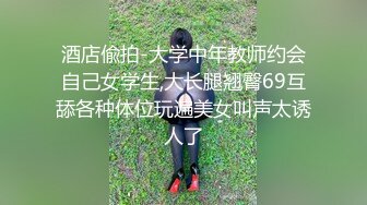 母亲的新男友1-李琼