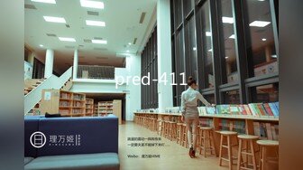 pred-411