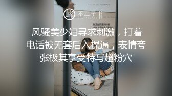 【AI换脸视频】刘亦菲 与圣诞女郎的激情性爱 无码