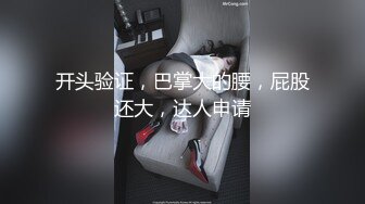 SWAG 满足你的丝袜高根OL双飞梦想 琳琳