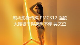 2020-04-17文轩探花3000网约外围，低配版韩彩英_iris3