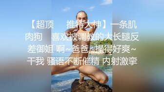 东京美臀美胸的小母狗5