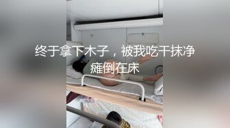 这巨无霸打桩爽