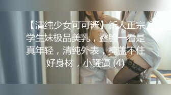 黑丝美乳女神-掉掉