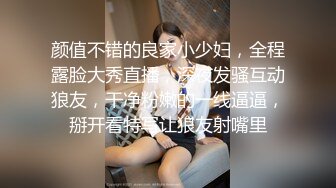 极品高颜值女神【阿黎】超透明性感黑暗空姐+全裸情欲系居家女友