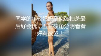 御宅族气质大山雀 J ○ 馅饼！ 美胸兼备的制服美少女垄断了男人的视线