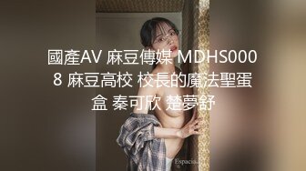 麻豆传媒 MD-0261上门偷情俏丽人妻 放进去一下下就好