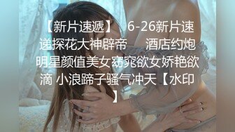 麻豆传媒最新女神乱爱系列-寂寞调酒站 单身酒吧调情性爱 纹身乱战 麻豆女神韩宝儿 高清720P原版首发