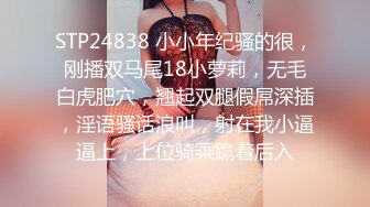 补档后入女友的史无前例大屁股