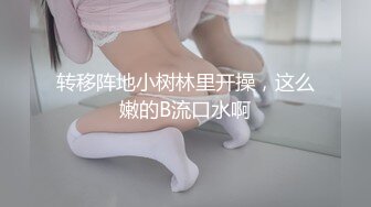 魅惑女仆