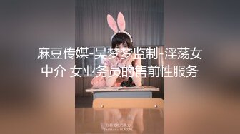 安防精品尤物系列-可以媲美一线当红女明星了5V[某房原版] (2)