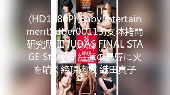 (HD1080P)(BabyEntertainment)(dber00113)女体拷問研究所 III JUDAS FINAL STAGE Story-5 紅蓮の暴辱に火を噴く絶頂肉奴 織田真子