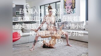 我老婆作品