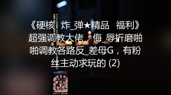 极品福利姬美少女  发条少女 -迷之呆梨  压缩版视频福利合集 [228V] (77)