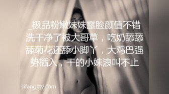 绿王八的平乳老婆