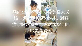 【新片速遞】 【自制字幕系列】之3P无套狂艹极品少妇，极品豪乳和乳晕让人兴奋，一顿大战后内射--中文字幕版！[794.94M/MP4/00:07:28]