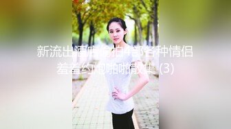 【AV佳丽】莉娜想学做饭，所以她邀请了一位厨师来操她