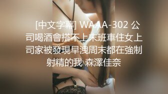 外资企业总裁秘书3P现场-第一-车震-酒店-女同