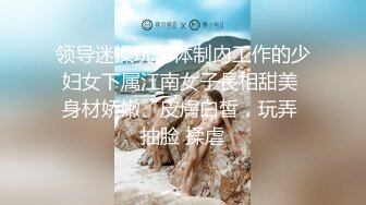  超极品推荐最强91天花板级别萝莉女神粉色情人粉丝团私拍 极品蜜桃臀水蛇腰