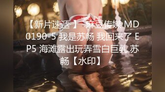 MDX-0140淫欲面试间-盼容