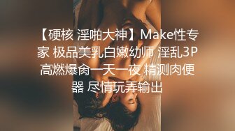 Onlyfans极品白虎网红小姐姐NANA⭐吊带黑丝-房产经纪人的情趣内衣