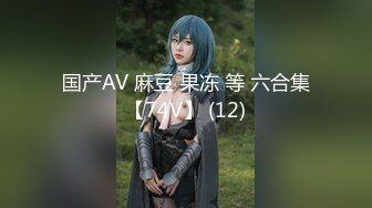 国产AV 麻豆 果冻 等 六合集【74V】 (12)