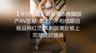 国产麻豆AV MD MD0164 国风古典舞女伶 舞若飞雪侍寝若狂 仙儿媛