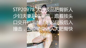 蜜桃传媒PMX127AV女优面试-巨乳少妇