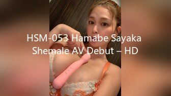 HSM-053 Hamabe Sayaka Shemale AV Debut – HD