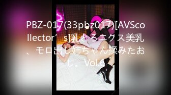 PBZ-017(33pbz017)[AVScollector’s]乳とろニクス美乳、モロ出し姉ちゃん揉みたおし。Vol.6